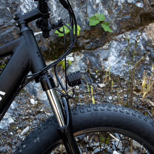 electric mountain bike for adults 1000W