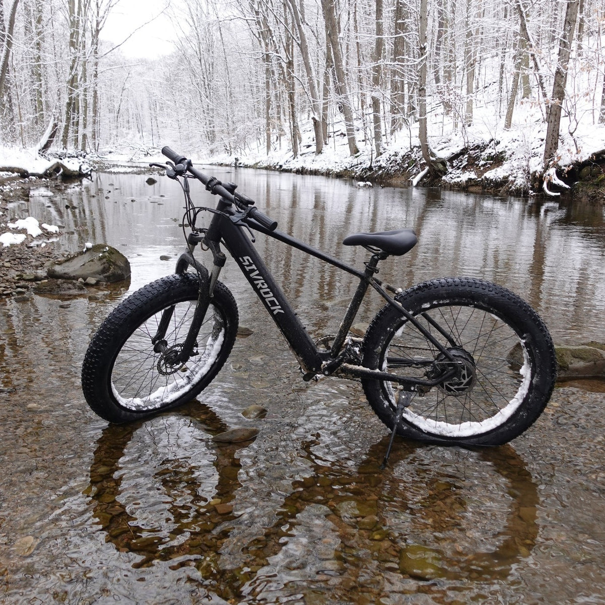 electric mountain bike for adults 1000W