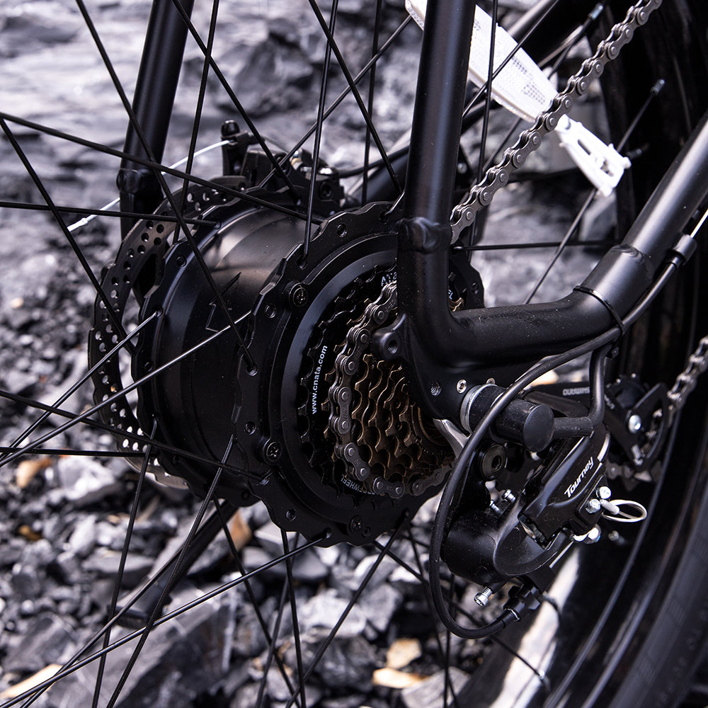 electric mountain bike for adults 1000W