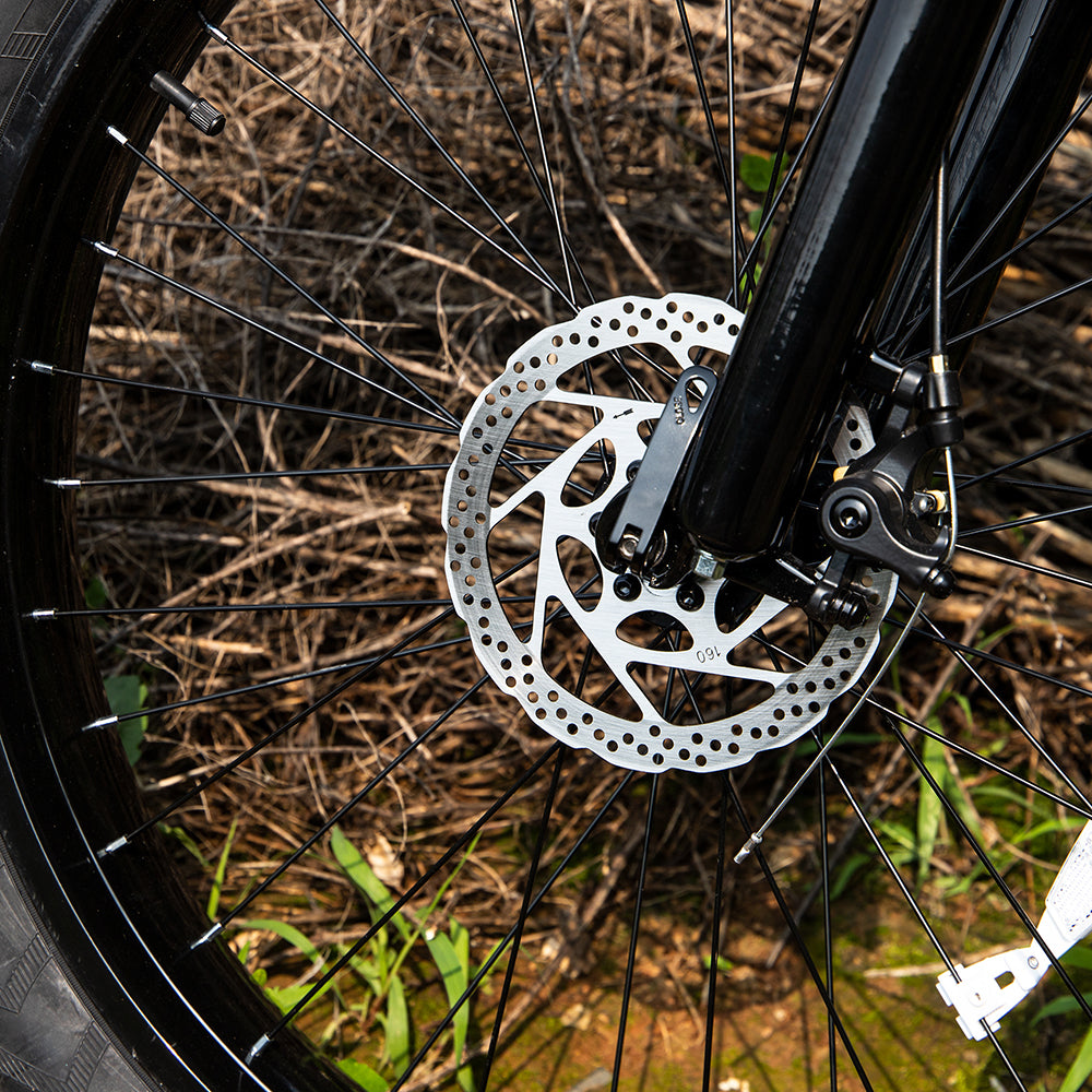 electric mountain bike for adults 1000W