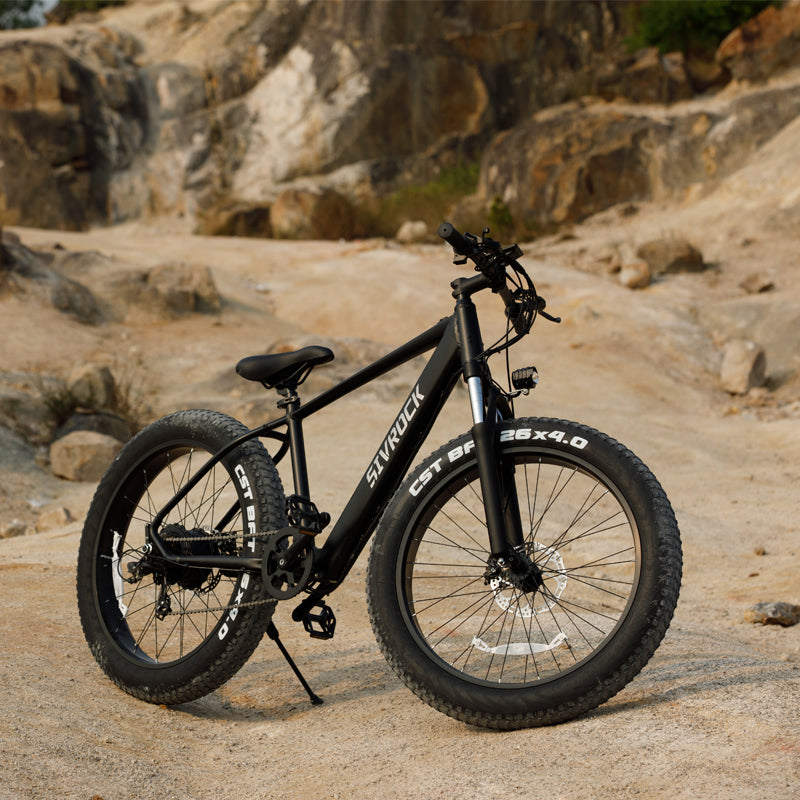 electric mountain bike for adults 1000W
