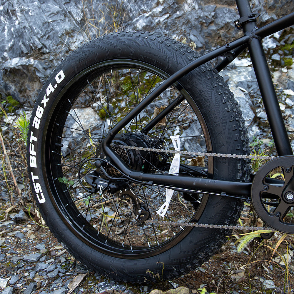electric mountain bike for adults 1000W